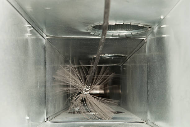 Best HVAC Duct Inspection Services  in Cole Camp, MO