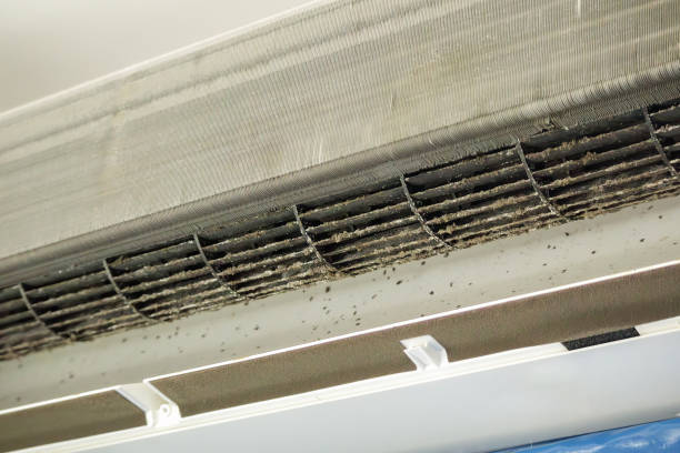 Best Affordable HVAC Duct Cleaning  in Cole Camp, MO