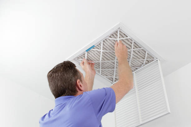 Best Affordable Air Duct Cleaning  in Cole Camp, MO